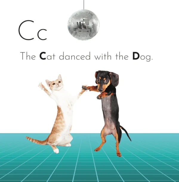 The Not So Typical ABC Book - Image 4